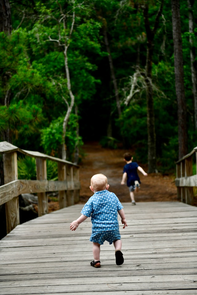 holly-landkammer-6nAHpV7WOm4-unsplash